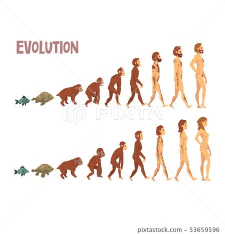 The Evolution of Mobile Apps: From Novelty to Necessity